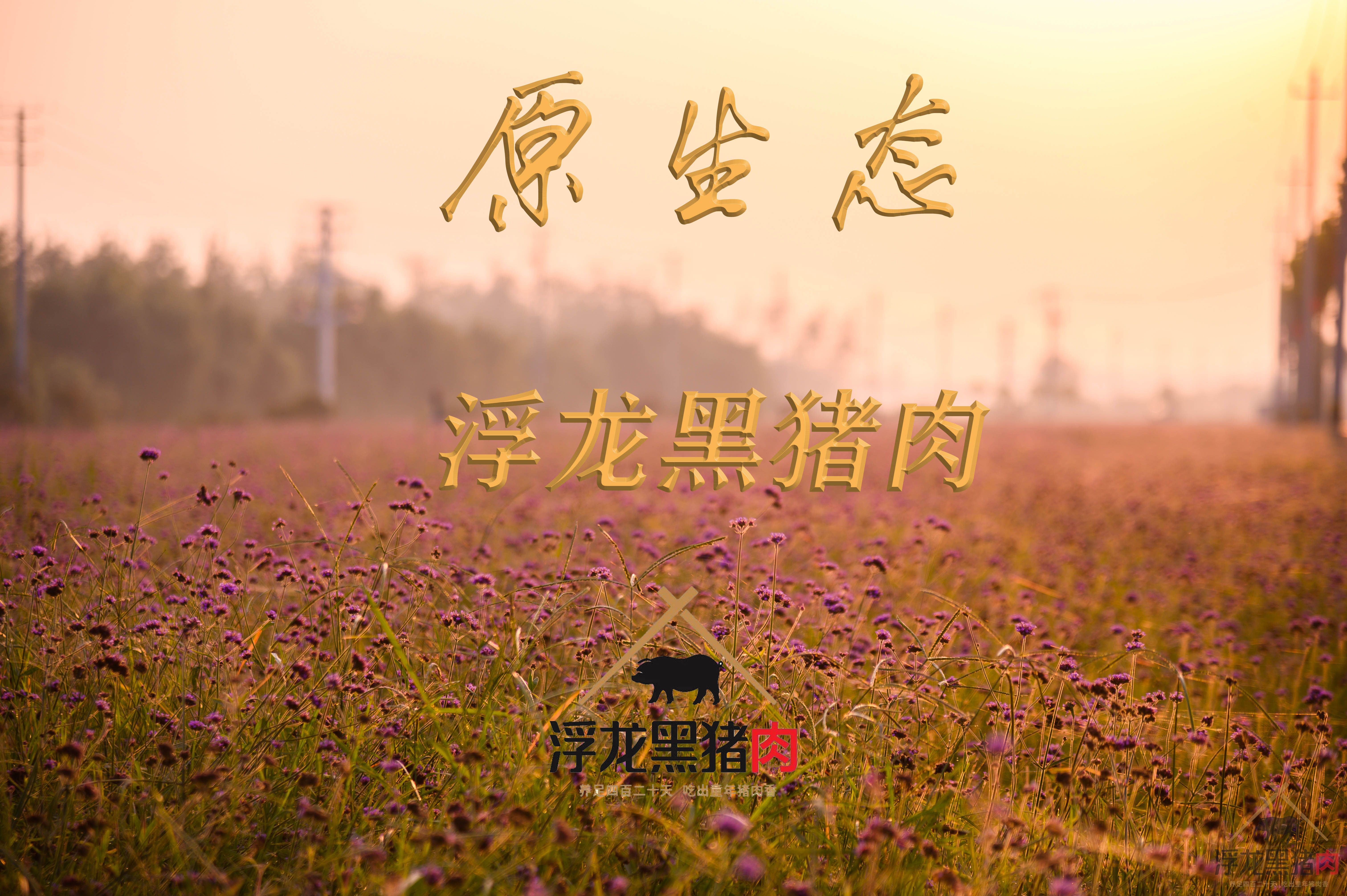 浮龙秘制灌肠(图1)